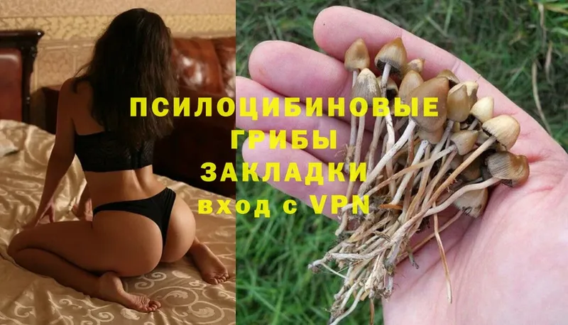 Псилоцибиновые грибы Magic Shrooms  Перевоз 